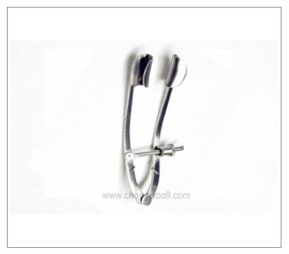 란카스터 스펙큘럼 (Lancaster Speculum) 1505-15