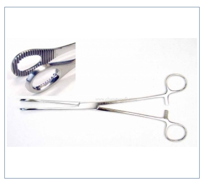 스폰지포셉 유구 직 (Sponge Forceps) 11-096
