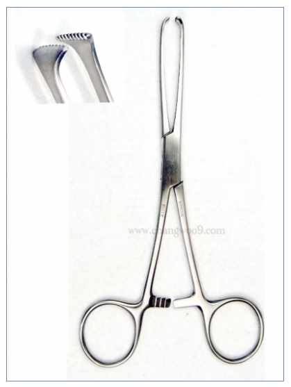 엘리스티슈포셉 직  (Allis Tissue Forceps) 6-130A
